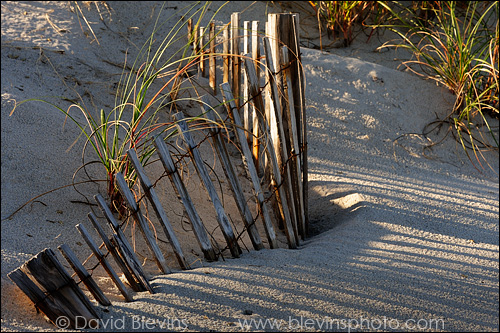 Sand Fence