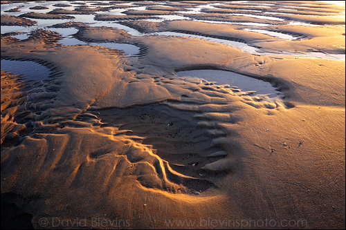 Tide Sculpted Sand Patterns