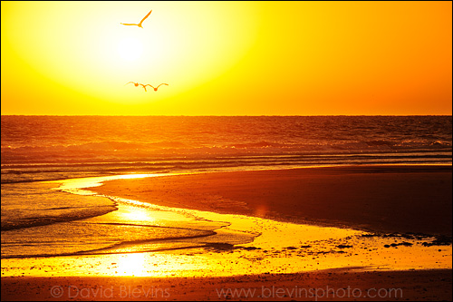 Sunrise over Cape Fear Point