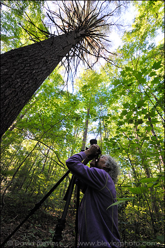 I made this photo of Kim while she was making her photo below. I shot it with a 14mm lens that has an almost 90 degree field of view. I wanted to capture both the photographer and what the photographer was working on in one image.   - David Blevins