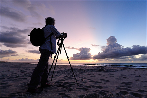 Kim photographing sea turtle tracks in the soft pastel light before dawn.   - David Blevins