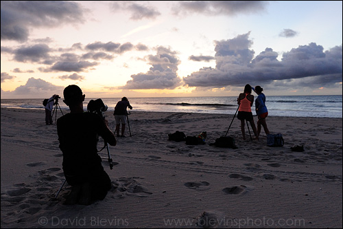 Workshop participants photographing sea turtle tracks at dawn.   - David Blevins