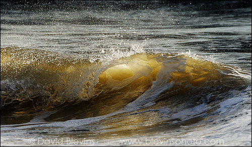 Sunlight shining through a crashing wave.   - David Blevins