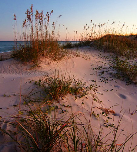 Just as the sun was at the horizon it cast a soft warm glow on everything. Kim captured that glow here by including both the warm sunlit sand and the cool sand in the shadows. These contrasting warm and cool tones are fleeting and easily overlooked. In a simple way, this composition is saying this light is beautiful, important, and worthy of attention.