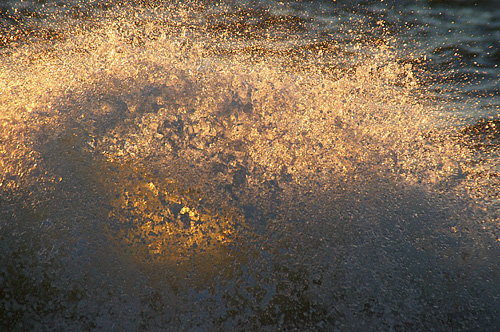 Audrey Dyer made this image of sunlight shining through a crashing wave with a fast shutter speed. A fast enough shutter speed will freeze motion to reveal the beauty of the order within the chaos.