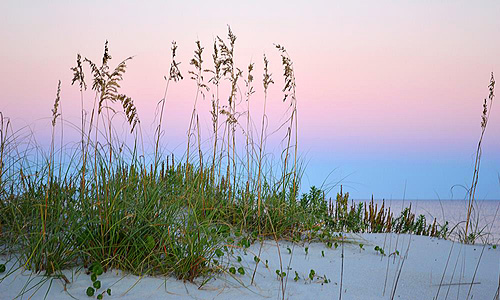 Many beginning nature photographers stop too soon and pack up once the sun has gone down. We kept working as the sun disappeared and the light became soft and pastel. Linda created this image after the sun dropped below the horizon, casting the Earth's blue shadow into the pink sky.