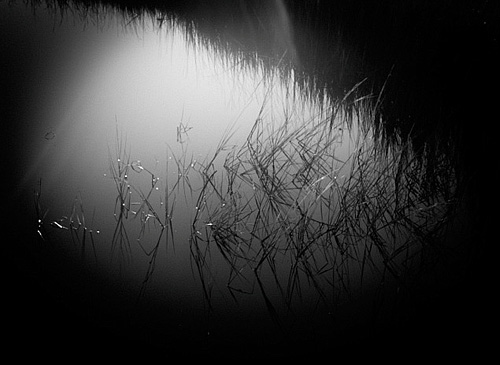 You can probably tell by now that Maggie has a very recognizable style, black and white, high contrast, and simply elegant compositions. Like her lighthouse door image, this one shows an appreciation of shape, texture, and light, independent of the meaning of the object. Yes, this is a salt marsh, but the image is not bound by the logic of a salt marsh. Her style is so recognizable I probably don't even need to point out that she also shot the next image.