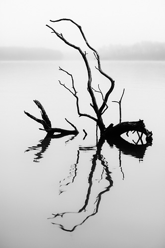 After several participants made photographs of these charismatic sticks in the lake, I created this image to demonstrate how shooting from a lower angle causes the sticks to cross the horizon, creating a more visual impact.