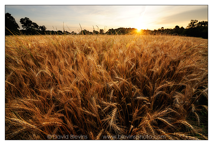 Chatham County #2