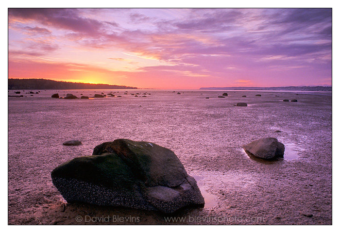 Glacial Erratics in Drayton Harbor