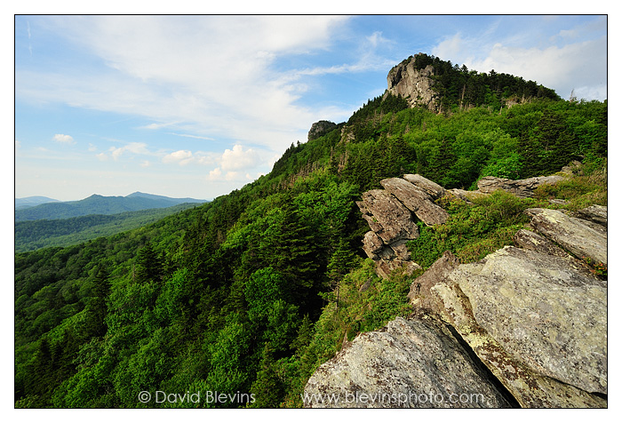 Grandfather Mountain