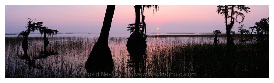 Lake Waccamaw State Park