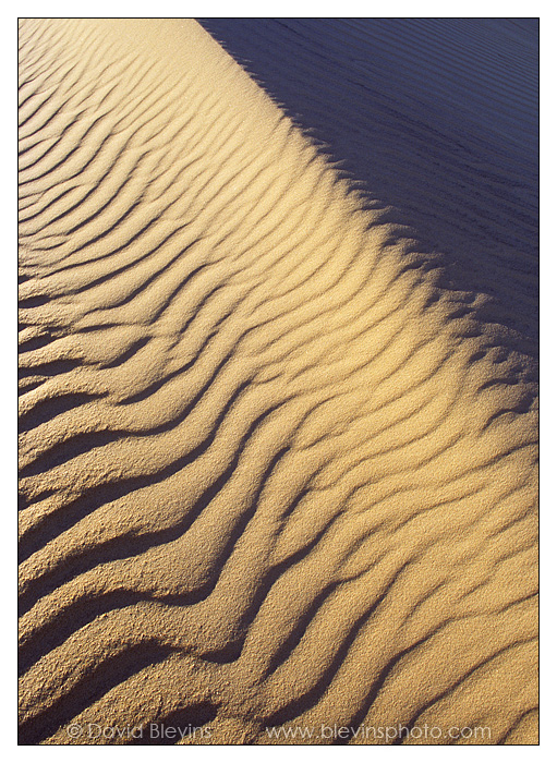 Sand Spine